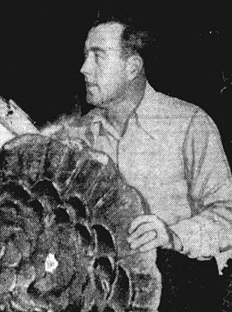 Johnnie Tolan, piloto de Fórmula 1