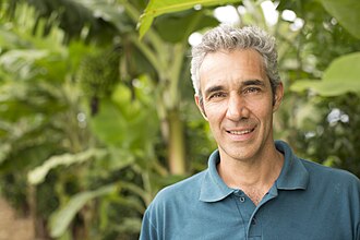 Pedro Diniz, piloto de Fórmula 1